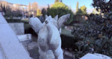 Ялта и три дворца: Воронцовский, Ливадийский, Массандровский — фото 50