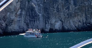 Морская прогулка в Балаклаве с выходом в открытое море и купанием — фото 5