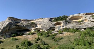 Великолепная лаванда Крымского Прованса и винодельня Фотисаль — фото 21