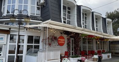 Гурзуфская Ривьера & парк-модерн Парадиз в Партените — фото 37