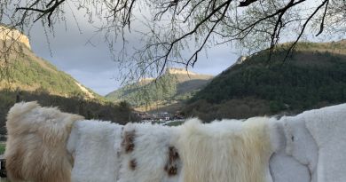 Джип-тур по пещерным городам и призрак Мангупского мальчика — фото 24