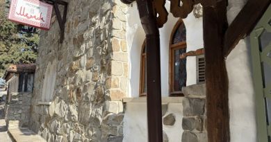 Гурзуфская Ривьера & парк-модерн Парадиз в Партените — фото 22