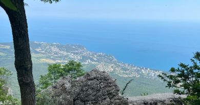 Супер-тур: гора Ай-Петри, замок Ласточкино гнездо и Харакс — фото 21