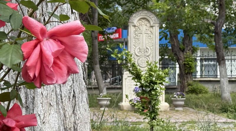 Фото Феодосия вдоль и поперек. Морская прогулка к вулкану Карадаг. - вид 18