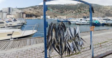 Морская прогулка в Балаклаве с выходом в открытое море и купанием — фото 15