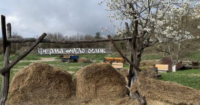 Чудо-ослики Каралезской долины и другие сельские обитатели — фото 9