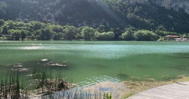 Великолепная лаванда Крымского Прованса и винодельня Фотисаль — фото 19