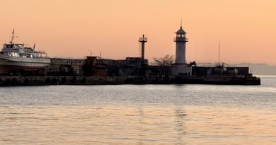 Два дворца - Воронцовский  &  Ливадийский, замок Ласточкино гнездо и морская прогулка в Ялте — фото 53