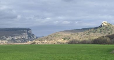 Великолепная лаванда Крымского Прованса и винодельня Фотисаль — фото 23