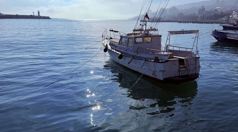 Фото Два дворца - Воронцовский  &  Ливадийский, замок Ласточкино гнездо и морская прогулка в Ялте - вид 46