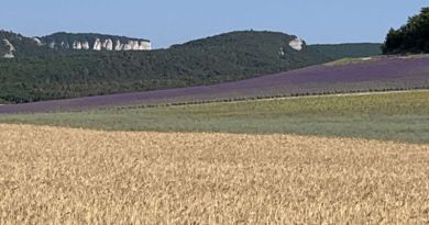 Бахчисарай. Крымское Ханство и пещерный город Чуфут-Кале — фото 51