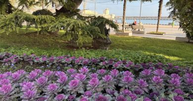 Два дворца - Воронцовский  &  Ливадийский, замок Ласточкино гнездо и морская прогулка в Ялте — фото 51