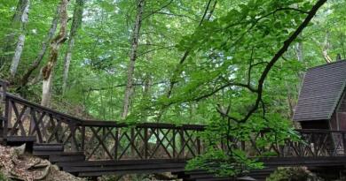 Каменные идолы горы Демерджи на джипах и купание в водопаде Джур Джур — фото 3