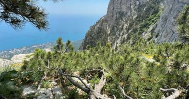 Супер-тур: гора Ай-Петри, замок Ласточкино гнездо и Харакс — фото 20