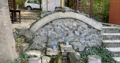 Два монастыря : Топловский Свято-Троице Параскевиевский и Свято-Троицкий женские монастыри — фото 14