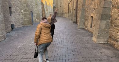 Ялта и три дворца: Воронцовский, Ливадийский, Массандровский — фото 41