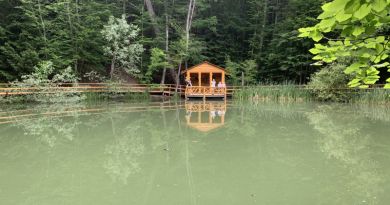 Супер-тур: гора Ай-Петри, замок Ласточкино гнездо и Харакс — фото 26