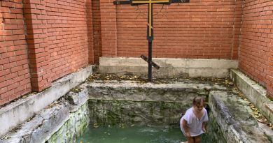 Два монастыря : Топловский Свято-Троице Параскевиевский и Свято-Троицкий женские монастыри — фото 17