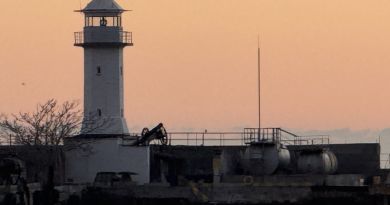 Ялта и три дворца: Воронцовский, Ливадийский, Массандровский — фото 23