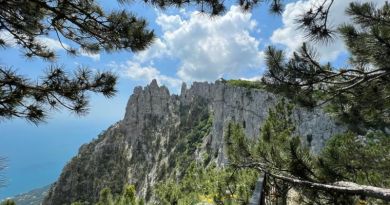Супер-тур: гора Ай-Петри, замок Ласточкино гнездо и Харакс — фото 22