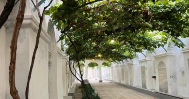 Сердце Евпатории: Розовое озеро и Малый Иерусалим — фото 18